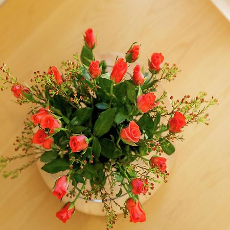 Quaint Apartment In Oostkapelle Zealand With Terrace 外观 照片